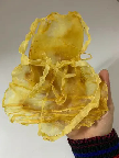 贫血吃鱼胶有用吗(双背鱼胶和黄花胶哪个好？)
